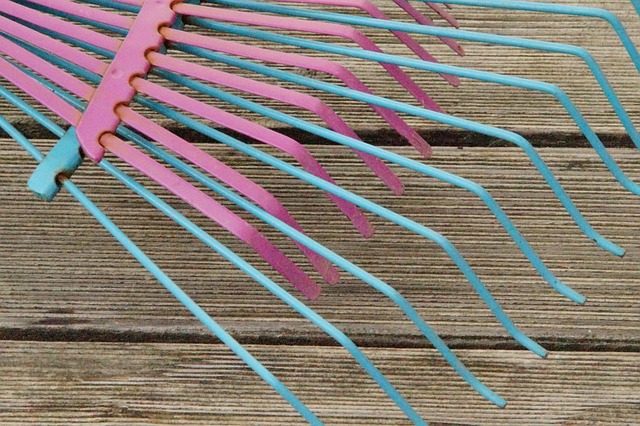 计算 园艺设备 多彩多姿的 - 上的免费照片