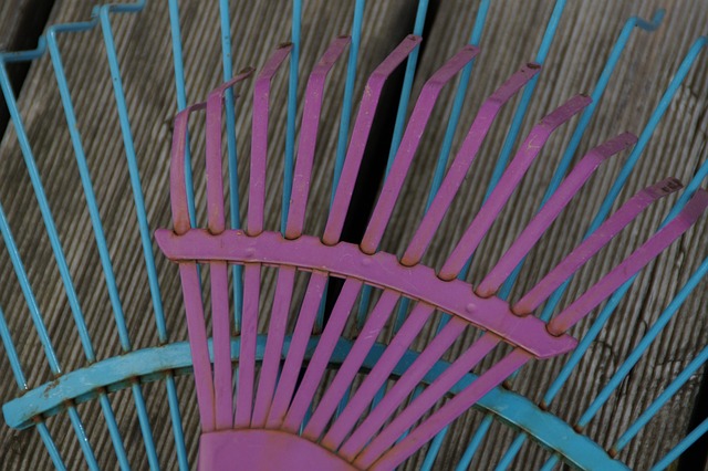 计算 园艺 清污叶 - 上的免费照片