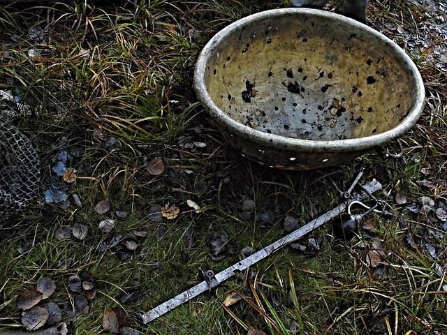 鱼鳞 抓住 南波西米亚 - 上的免费照片