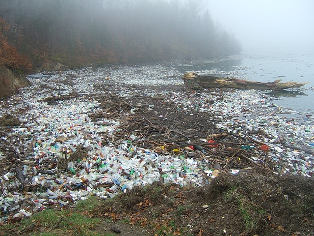 环境污染 德里纳 废塑料 - 上的免费照片