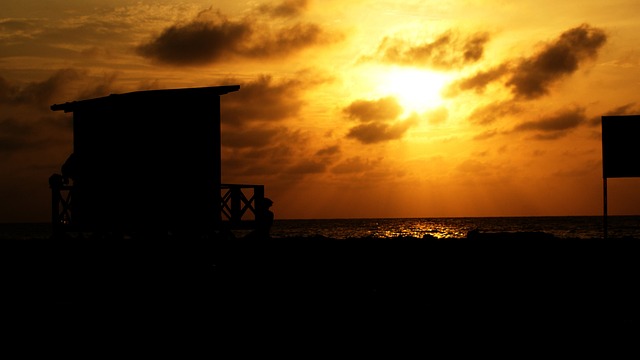 日落 海滩游侠 橙色的 - 上的免费照片