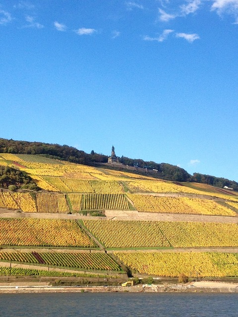 莱茵河 河岸 Bingen - 上的免费照片