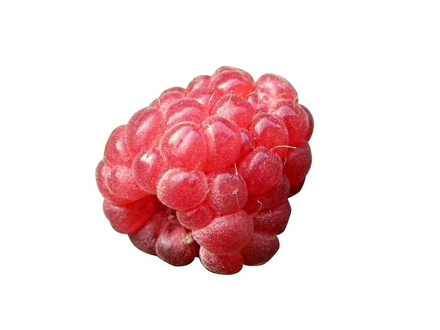 浆果 覆盆子 红色的 - 上的免费照片