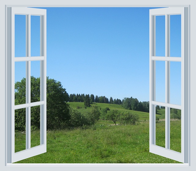 山地草甸 阿尔姆 窗户 - 上的免费照片