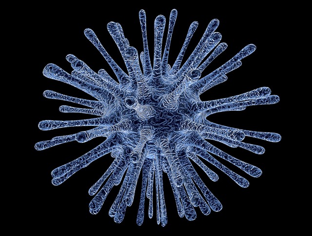 病毒 细菌 感染 - 上的免费图片
