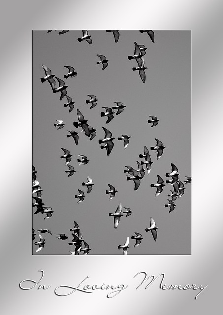 悲伤 死亡 去死 - 上的免费图片