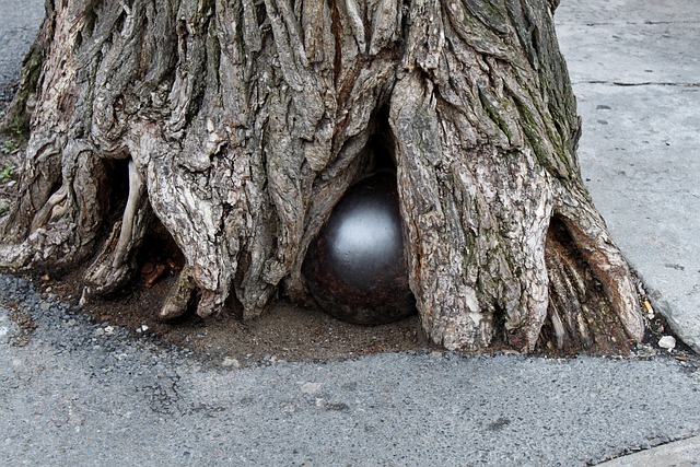 炮弹 根 - 上的免费照片