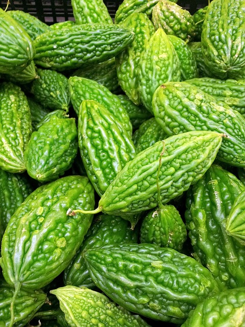 婴儿苦瓜桩 绿色葫芦 苦瓜 - 上的免费照片