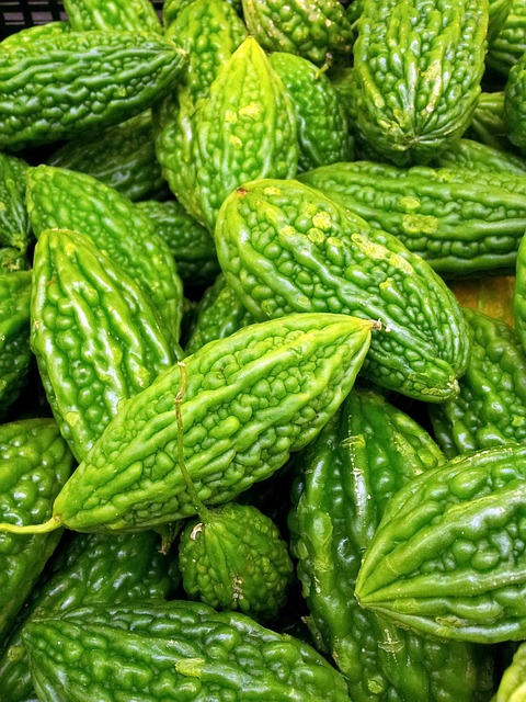 婴儿苦瓜桩 绿色葫芦 苦瓜 - 上的免费照片