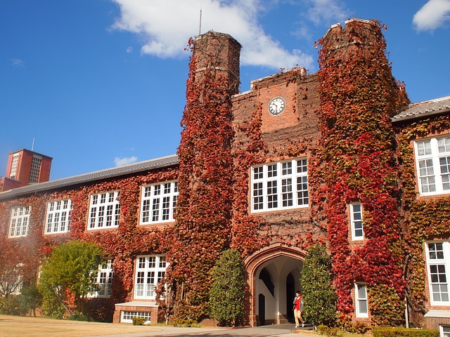 立教大学 圣保罗大学 大学 - 上的免费照片