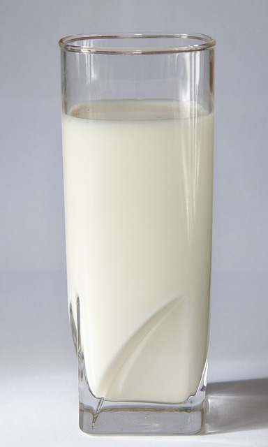 牛奶 玻璃 - 上的免费照片