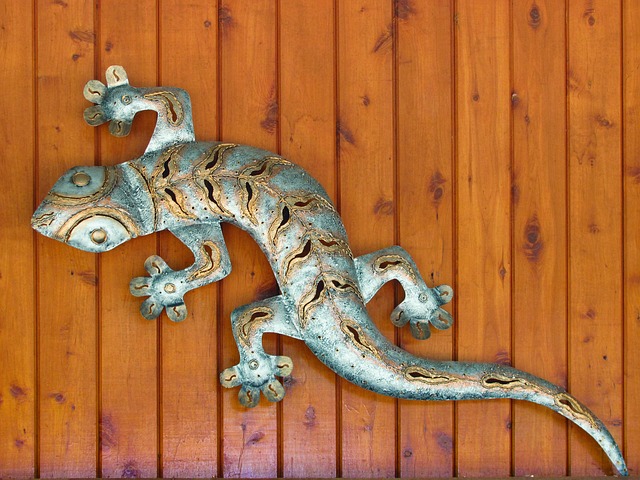 证件 蜥蜴 爬虫 - 上的免费照片