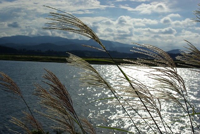 唔 的 - 上的免费照片