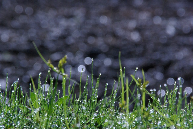 唔 的 - 上的免费照片