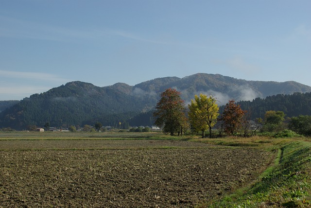 唔 的 - 上的免费照片