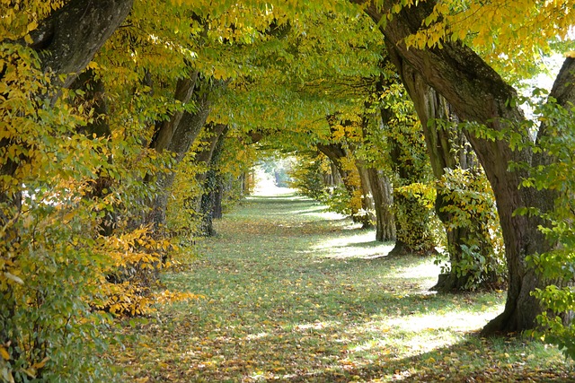 大街 城堡大道 Laupheim - 上的免费照片
