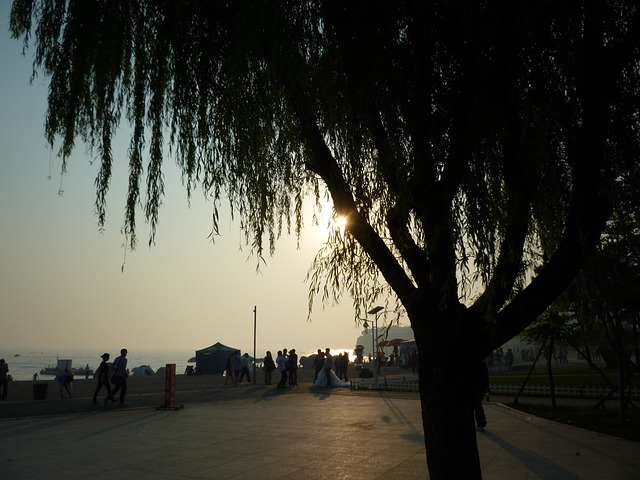 中国 大连 黄昏日落 - 上的免费照片