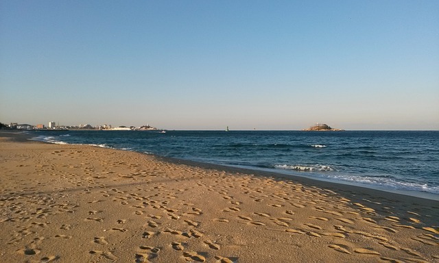 海洋 海滩 桑迪 - 上的免费照片