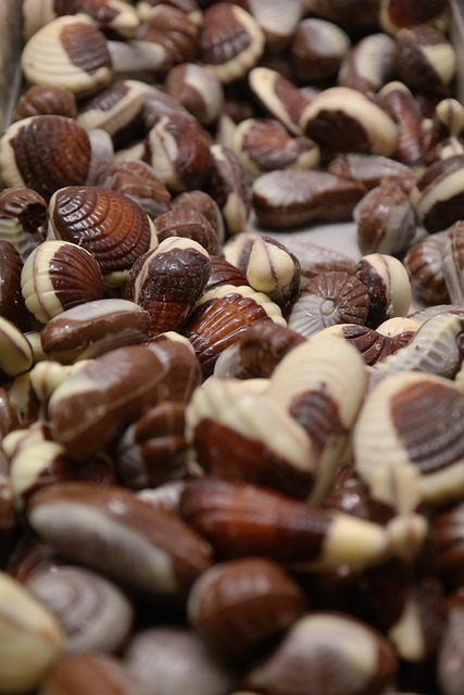 海鲜 巧克力 糖果特色菜 - 上的免费照片