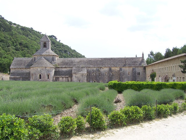 Sénanque 巴黎圣母院 De 修道院 - 上的免费照片