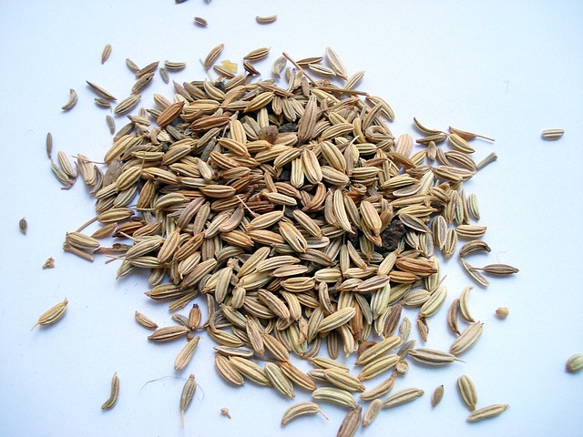 小茴香果实 小茴香 - 上的免费照片