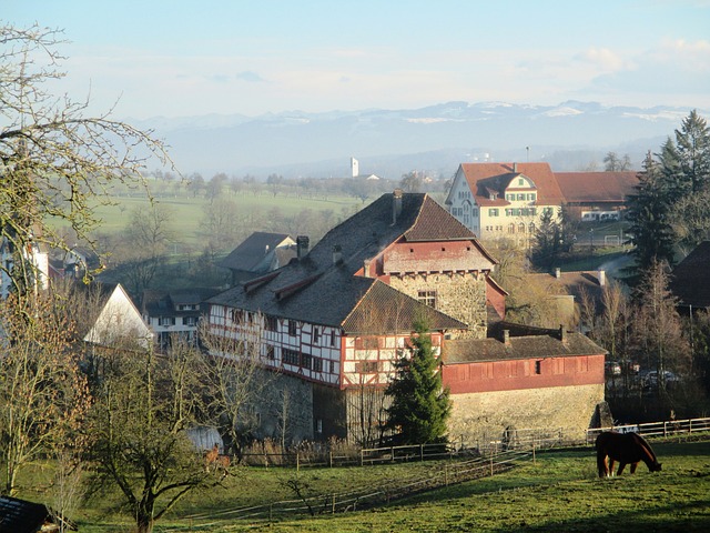 水城堡 Hagenwil Thurgau 瑞士 - 上的免费照片