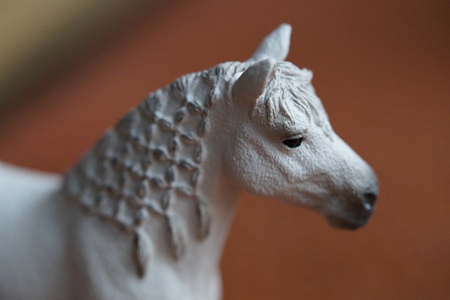 马 白色的 马头 - 上的免费照片