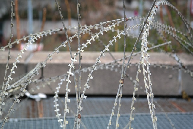 北约电线 铁丝网 锋利的 - 上的免费照片