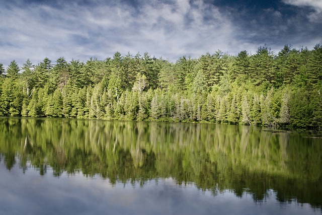 湖 树木 自然 - 上的免费照片