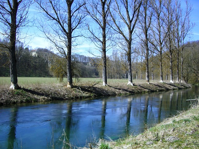 海狸足迹 Brenz Eselsburg 谷 - 上的免费照片
