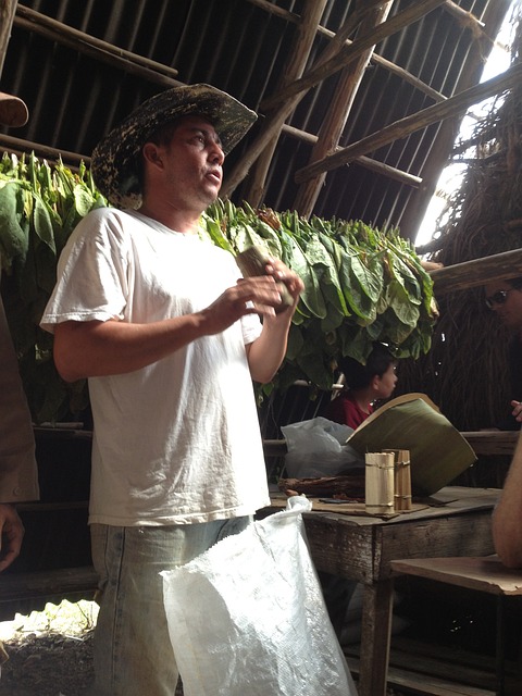 雪茄 烟草 包裹 - 上的免费照片