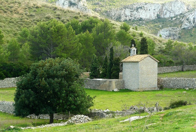 景观 植物 自然 - 上的免费照片