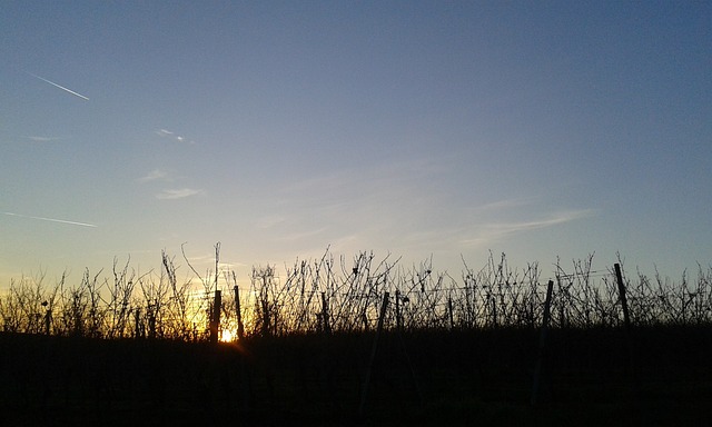 德国 Rheinhessen Wonnegau - 上的免费照片