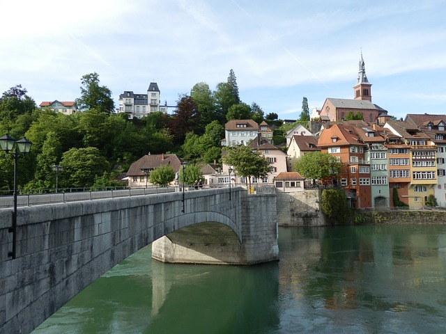 跑城堡 莱茵河 Rheinbrücke - 上的免费照片