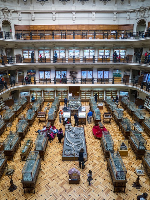 博物馆 展览 建筑学 - 上的免费照片