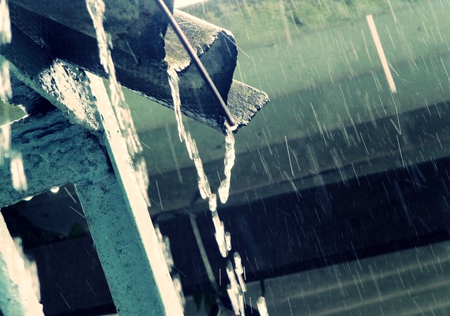 雨 雨下落 滴 - 上的免费照片