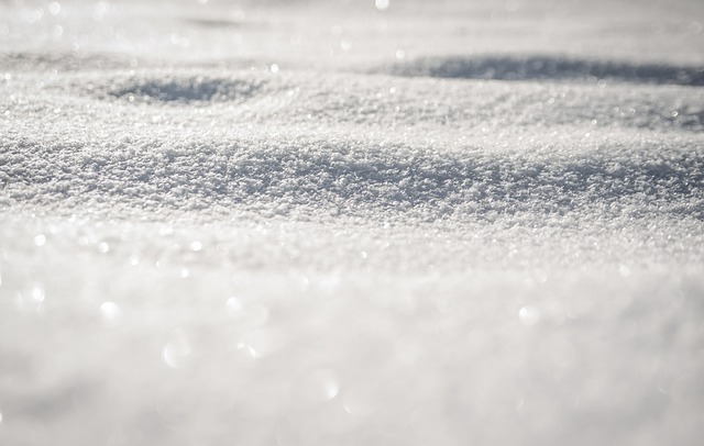 冬天 雪 寒冷的 - 上的免费照片