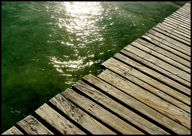 网络 码头 海 - 上的免费照片