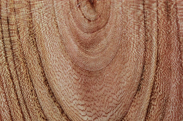 木头 木纹 木结构 - 上的免费照片