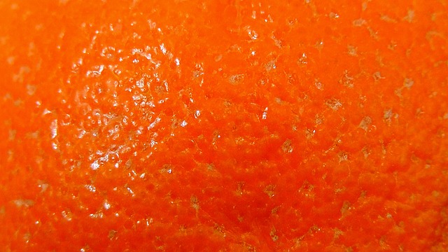橙皮 橙色的 甜 - 上的免费照片