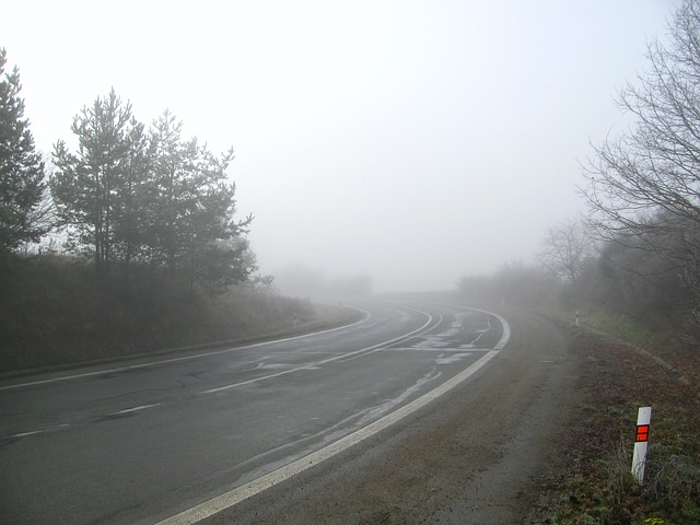 路 次要道路 多雾路段 - 上的免费照片