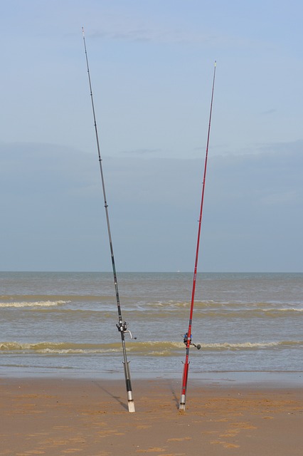 钓竿 海滩 海 - 上的免费照片