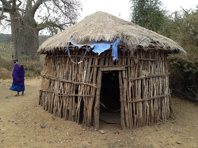 小屋 住宅 非洲 - 上的免费照片