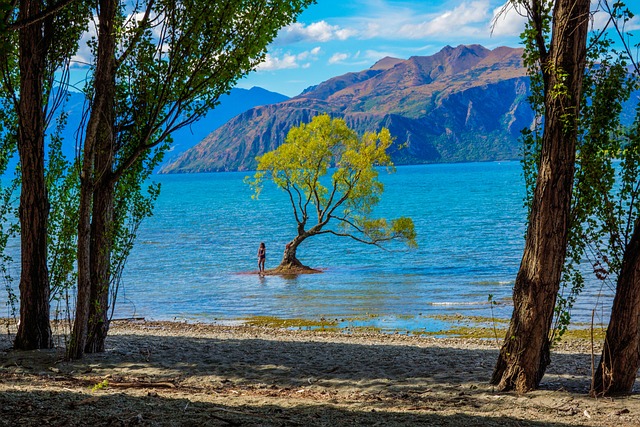 新西兰 瓦纳卡 瓦纳卡湖 - 上的免费照片