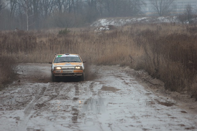 集会 自动 赛车 - 上的免费照片