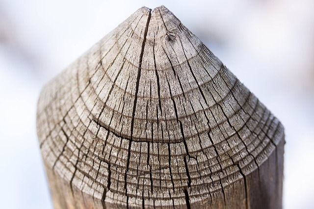 栅栏 纠察 局限性 - 上的免费照片