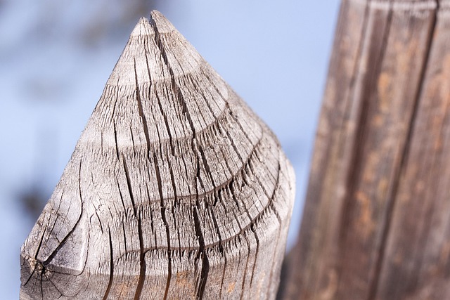 栅栏 纠察 局限性 - 上的免费照片