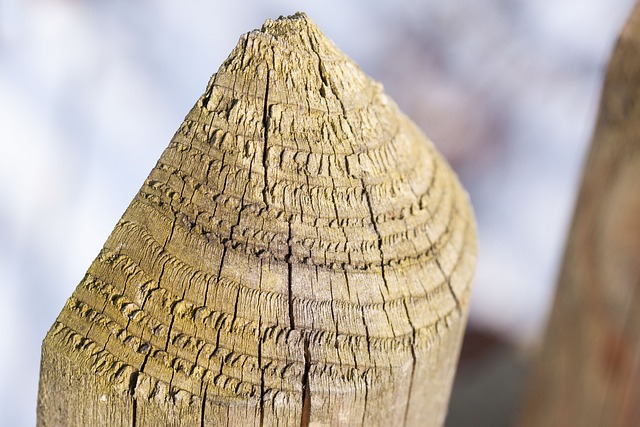 栅栏 纠察 局限性 - 上的免费照片