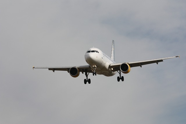 空中客车公司 伏击 A320 - 上的免费照片