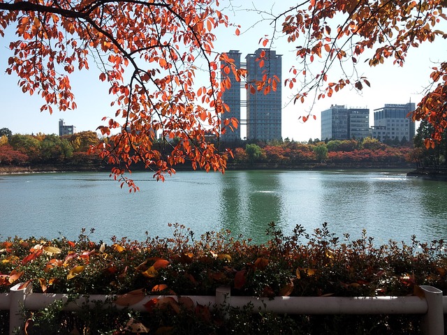 石村湖 湖宫 秋季 - 上的免费照片